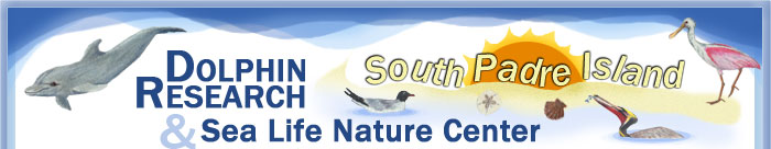 Dolphin Research and Sealife Nature Center
