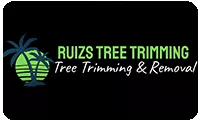 Palm Tree Trimming Rio Grande Valley